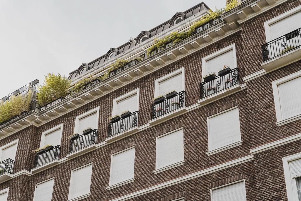 Préparer la maison avant l’adoption