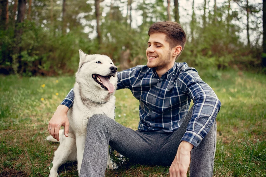lien avec un chien