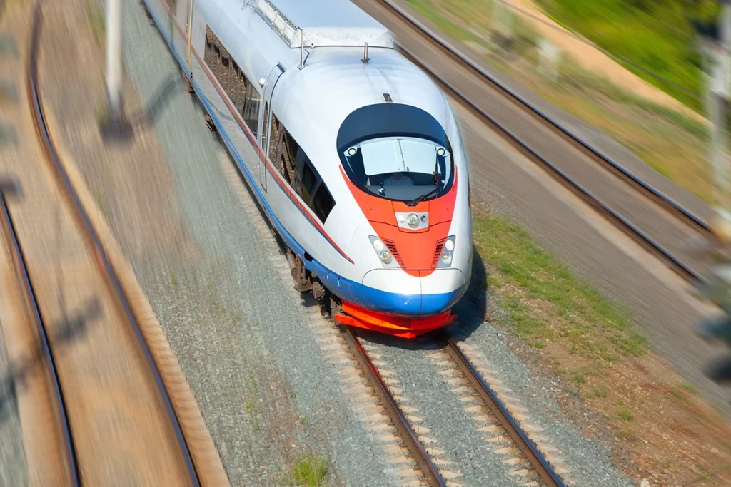 quel transport pour les chiens